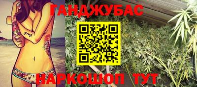 стафф Гай