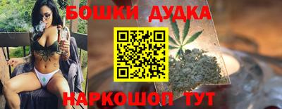 стафф Гай