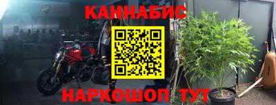 стафф Гай