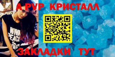 стафф Гай