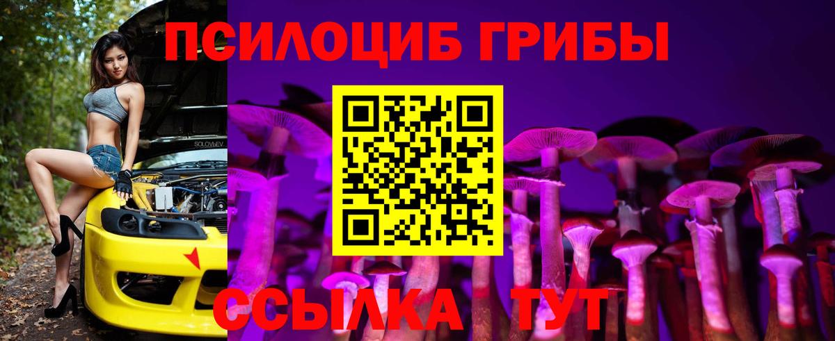 Междуреченск  Псилоцибиновые грибы прущие грибы  где купить   Вход с VPN 